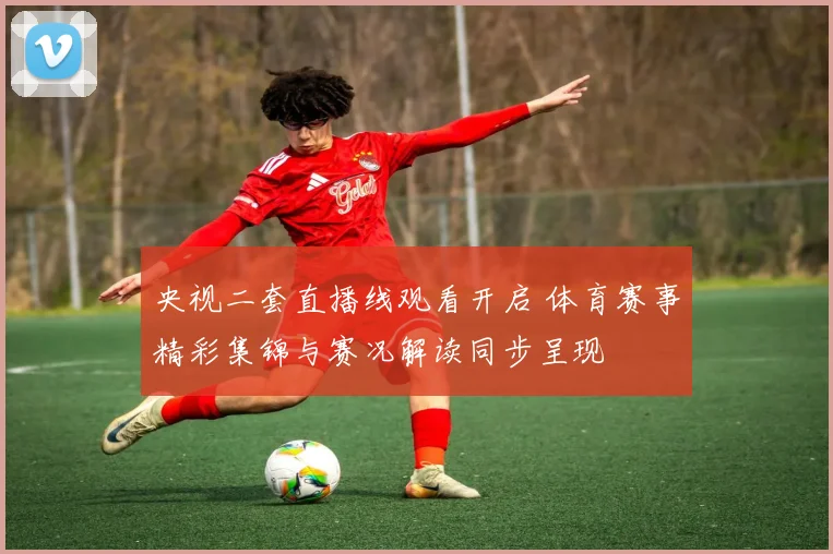 央视二套直播线观看开启 体育赛事精彩集锦与赛况解读同步呈现